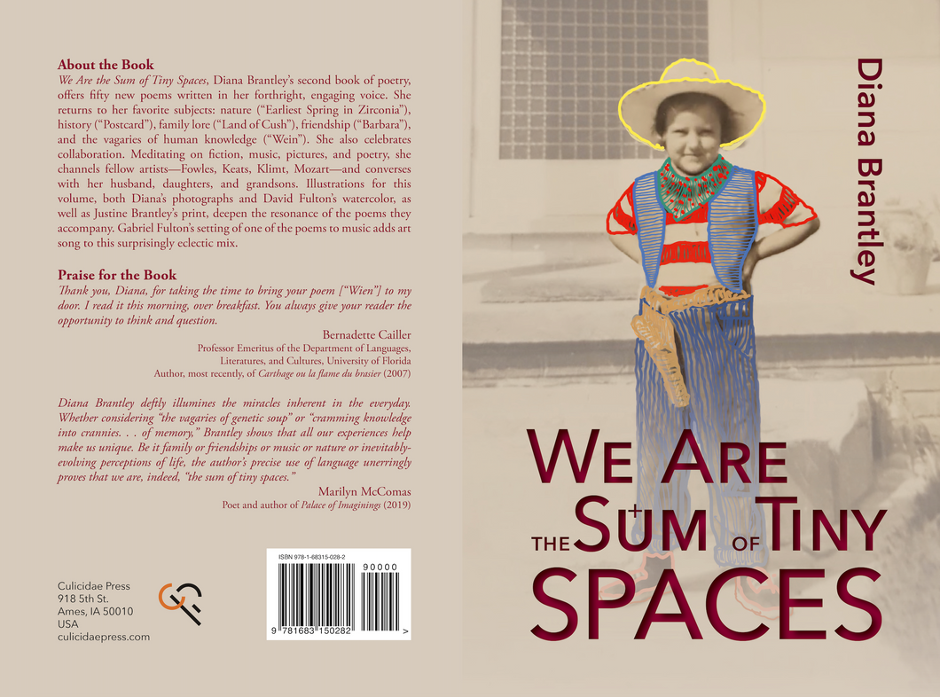 Brantley - We Are the Sum of Tiny Spaces